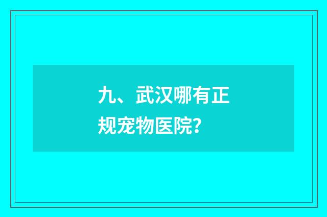 九、武汉哪有正规宠物医院?