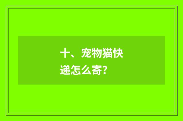 十、宠物猫快递怎么寄？
