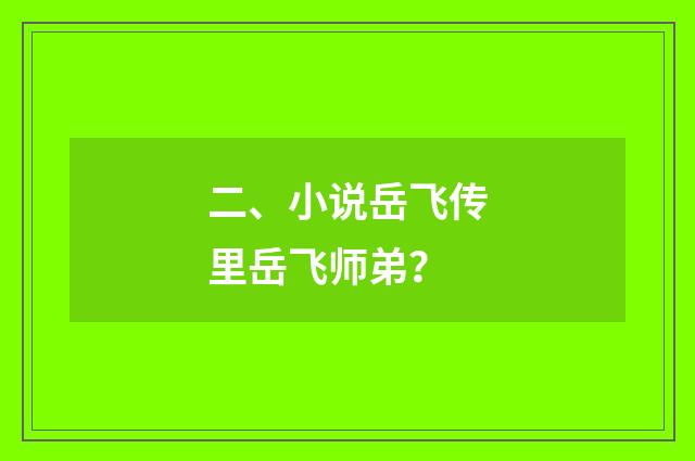 二、小说岳飞传里岳飞师弟?