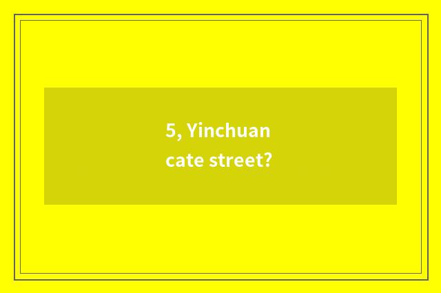 5, Yinchuan cate street?
