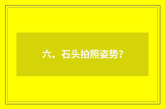 六、石头拍照姿势？