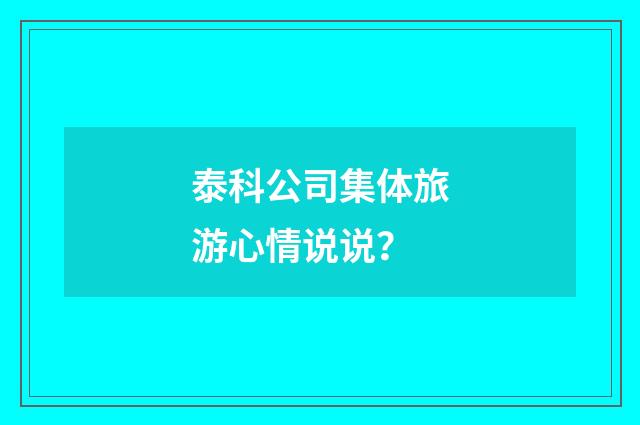 泰科公司集体旅游心情说说？