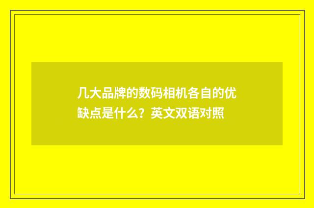几大品牌的数码相机各自的优缺点是什么?英文双语对照