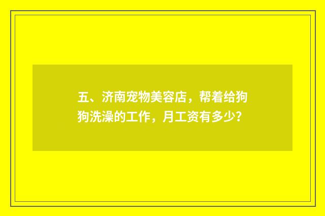五、济南宠物美容店,帮着给狗狗洗澡的工作,月工资有多少?