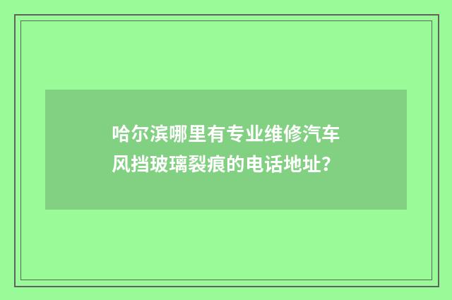 哈尔滨哪里有专业维修汽车风挡玻璃裂痕的电话地址？