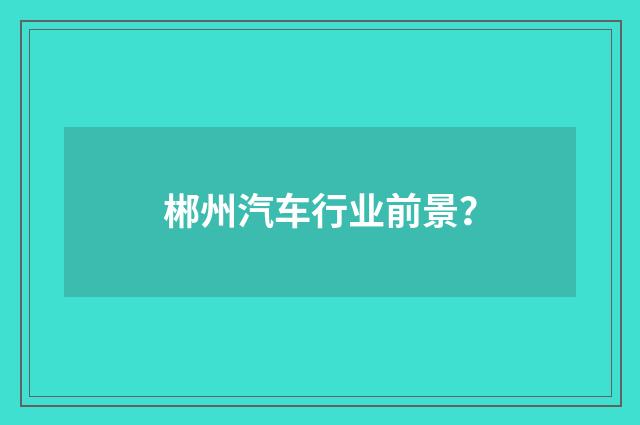 郴州汽车行业前景？
