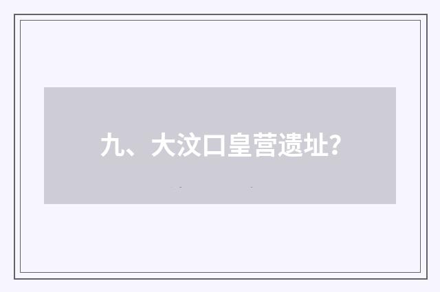 九、大汶口皇营遗址?