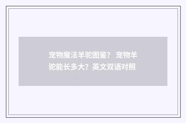 宠物魔法羊驼图鉴? 宠物羊驼能长多大?英文双语对照