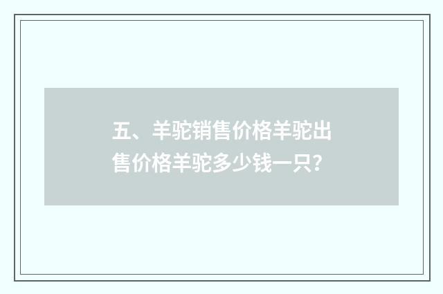 五、羊驼销售价格羊驼出售价格羊驼多少钱一只?