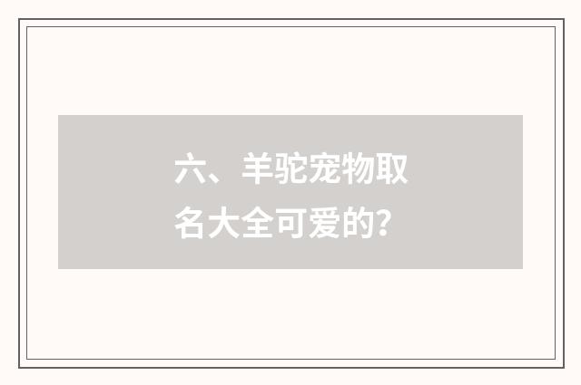 六、羊驼宠物取名大全可爱的?