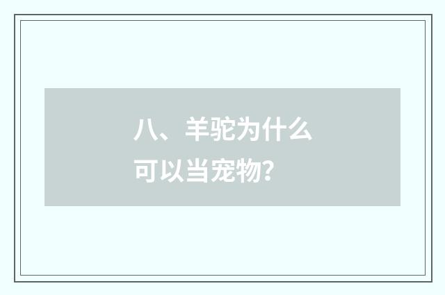 八、羊驼为什么可以当宠物?