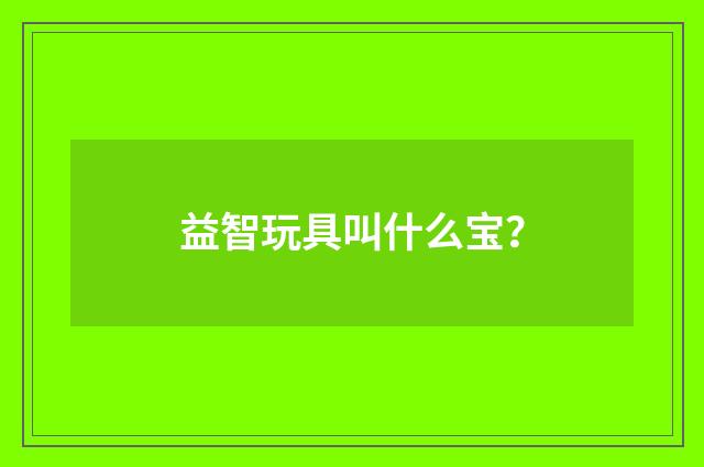 益智玩具叫什么宝?