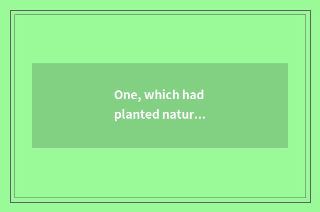 One, which had planted nature wood door and Tata wood door?