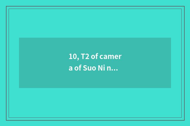 10, T2 of camera of Suo Ni number how kinescope?