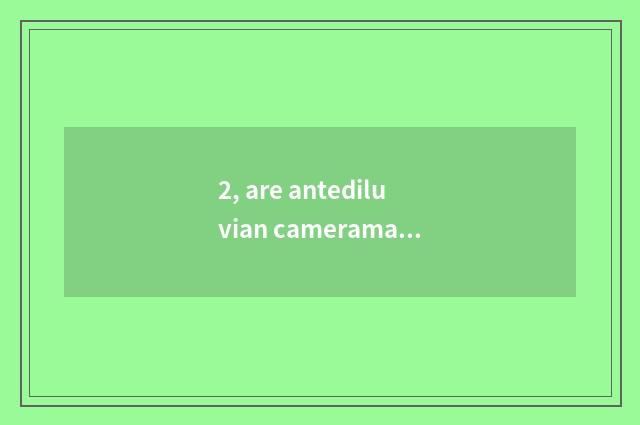 2, are antediluvian cameraman or marriage gauze cameraman good?