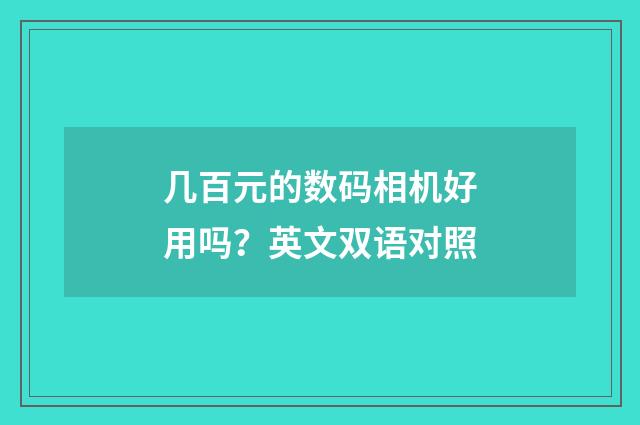 几百元的数码相机好用吗?英文双语对照