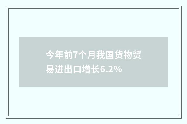 今年前7个月我国货物贸易进出口增长6.2%