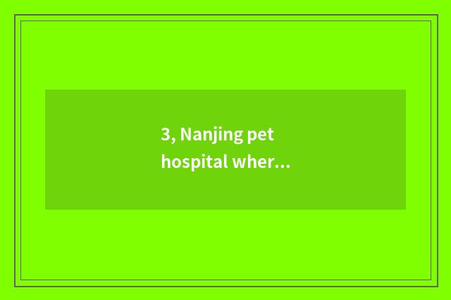 3, Nanjing pet hospital where home is best - agog, can you do over there Nanjing