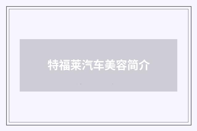 特福莱汽车美容简介