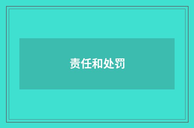 责任和处罚