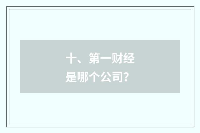 十、第一财经是哪个公司?