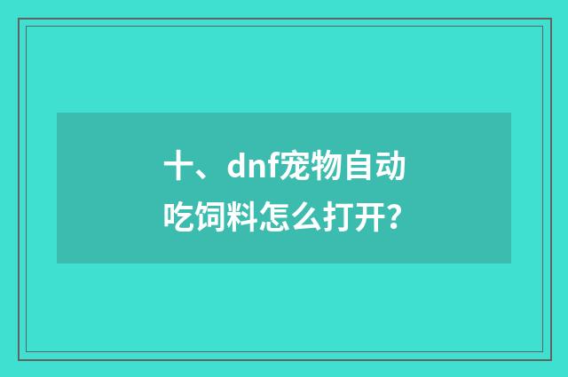 十、dnf宠物自动吃饲料怎么打开?