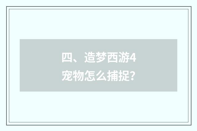 四、造梦西游4宠物怎么捕捉？