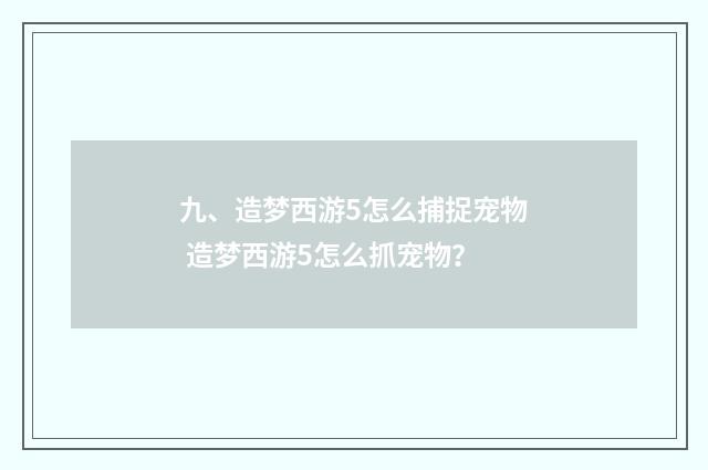 九、造梦西游5怎么捕捉宠物 造梦西游5怎么抓宠物？