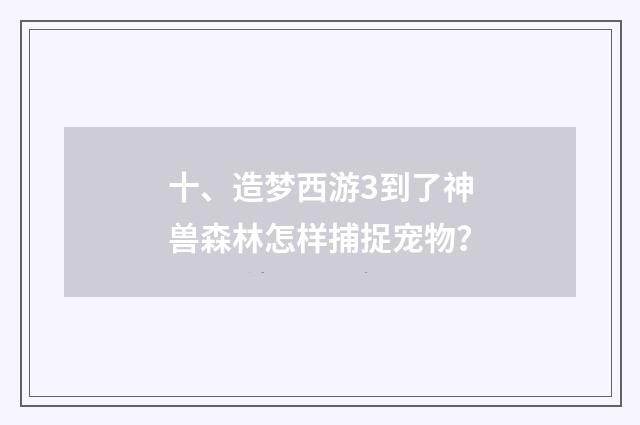 十、造梦西游3到了神兽森林怎样捕捉宠物?