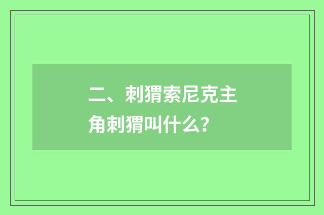 二、刺猬索尼克主角刺猬叫什么?