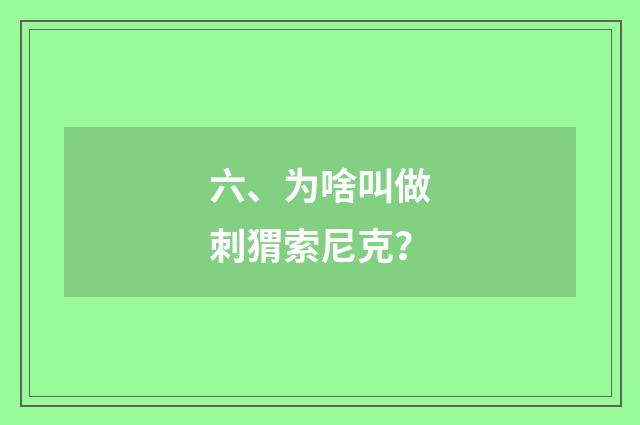 六、为啥叫做刺猬索尼克?