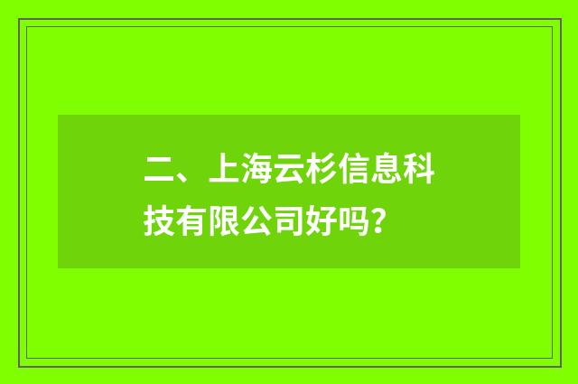 二、上海云杉信息科技有限公司好吗?