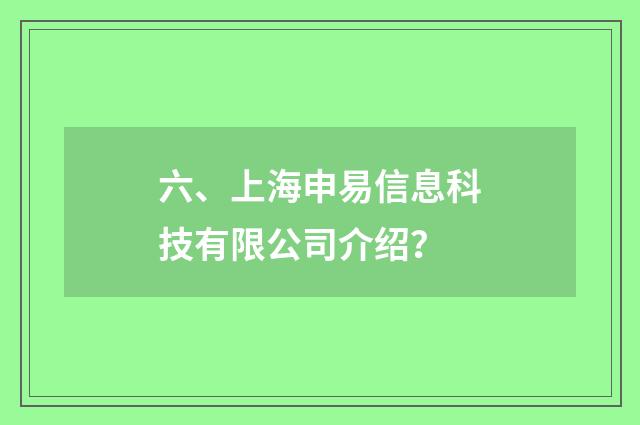 六、上海申易信息科技有限公司介绍?
