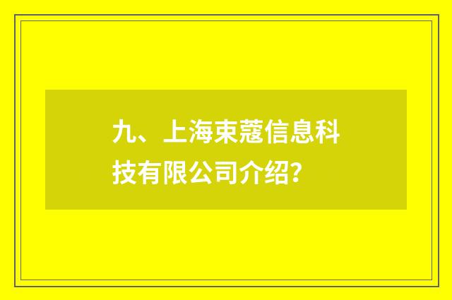 九、上海束蔻信息科技有限公司介绍?