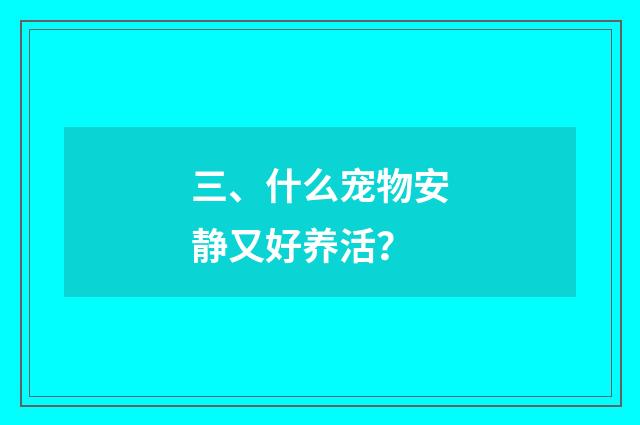 三、什么宠物安静又好养活？
