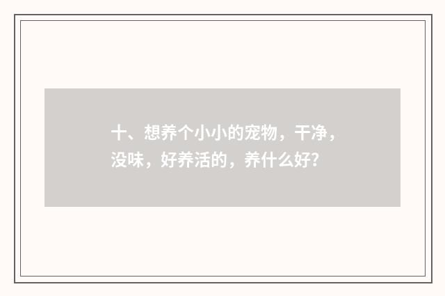 十、想养个小小的宠物,干净,没味,好养活的,养什么好?