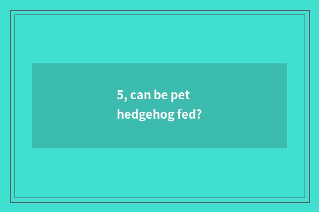 5, can be pet hedgehog fed?
