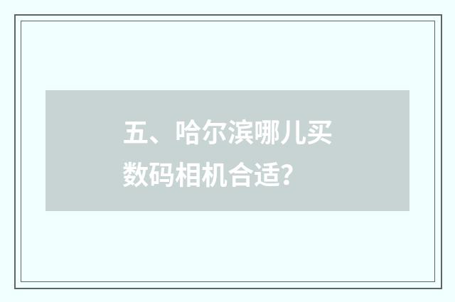 五、哈尔滨哪儿买数码相机合适？
