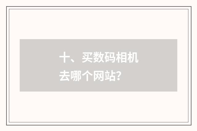 十、买数码相机去哪个网站？