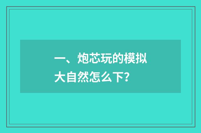 一、炮芯玩的模拟大自然怎么下?