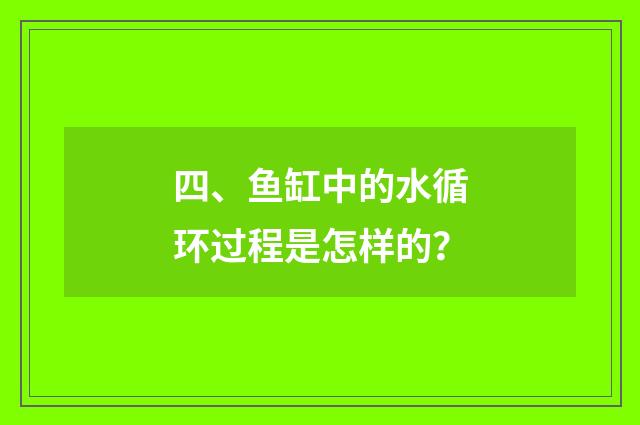四、鱼缸中的水循环过程是怎样的?