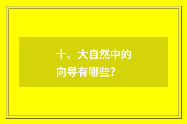 十、大自然中的向导有哪些?