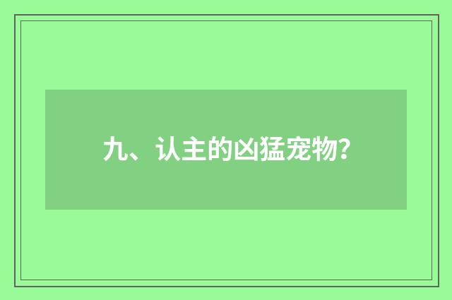 九、认主的凶猛宠物？
