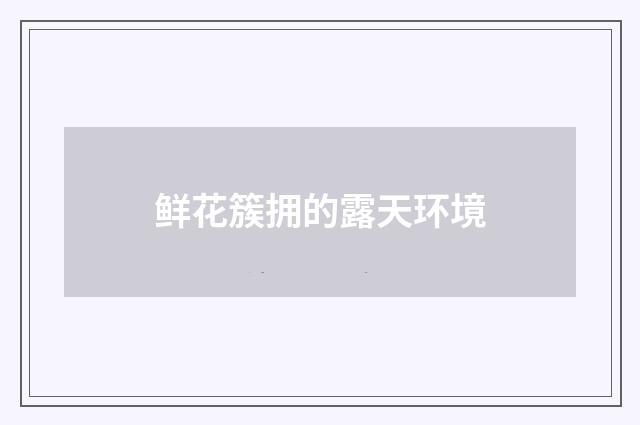 鲜花簇拥的露天环境