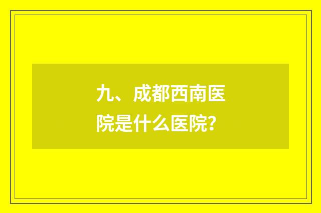 九、成都西南医院是什么医院？