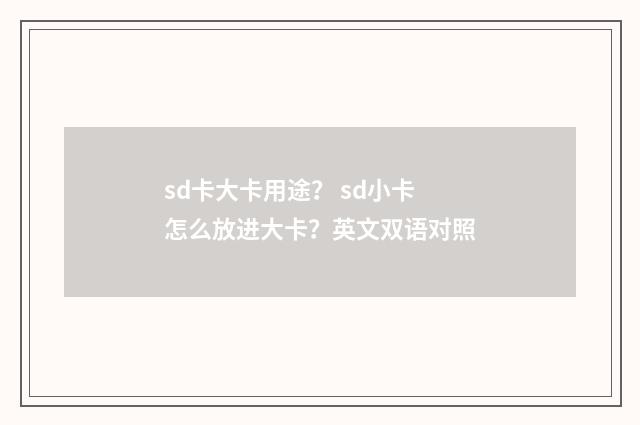 sd卡大卡用途? sd小卡怎么放进大卡?英文双语对照
