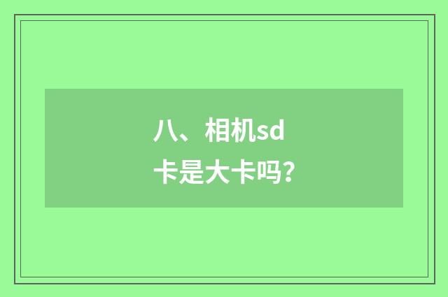 八、相机sd卡是大卡吗？