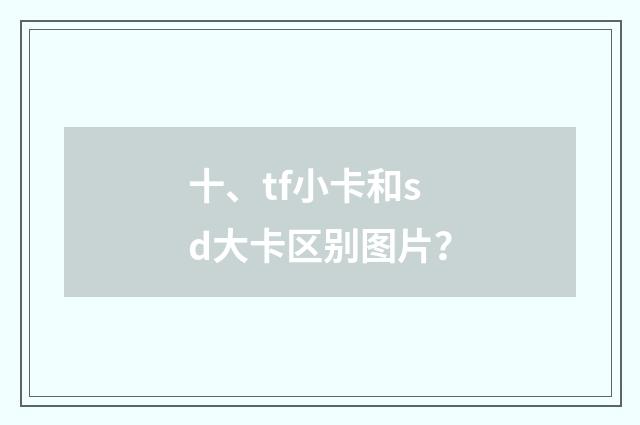 十、tf小卡和sd大卡区别图片?