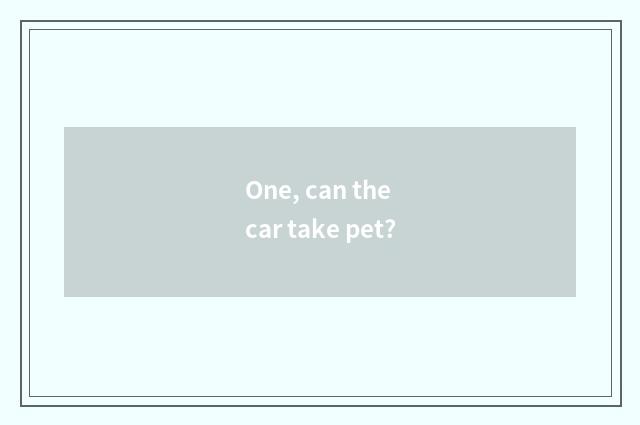 One, can the car take pet?