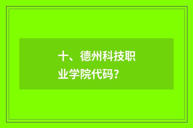 十、德州科技职业学院代码？